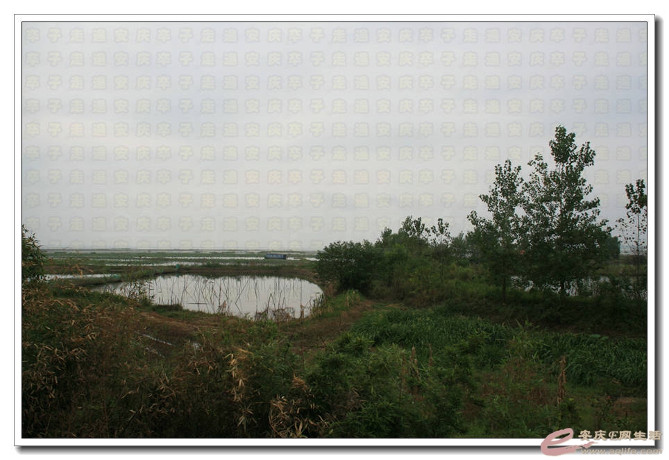 20150815 040.jpg