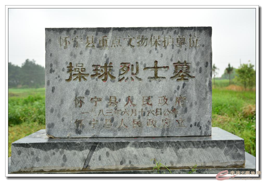 20160424 123.jpg