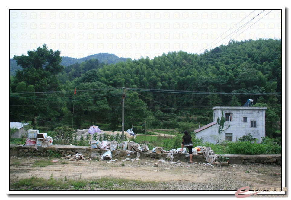 20150620 290.jpg