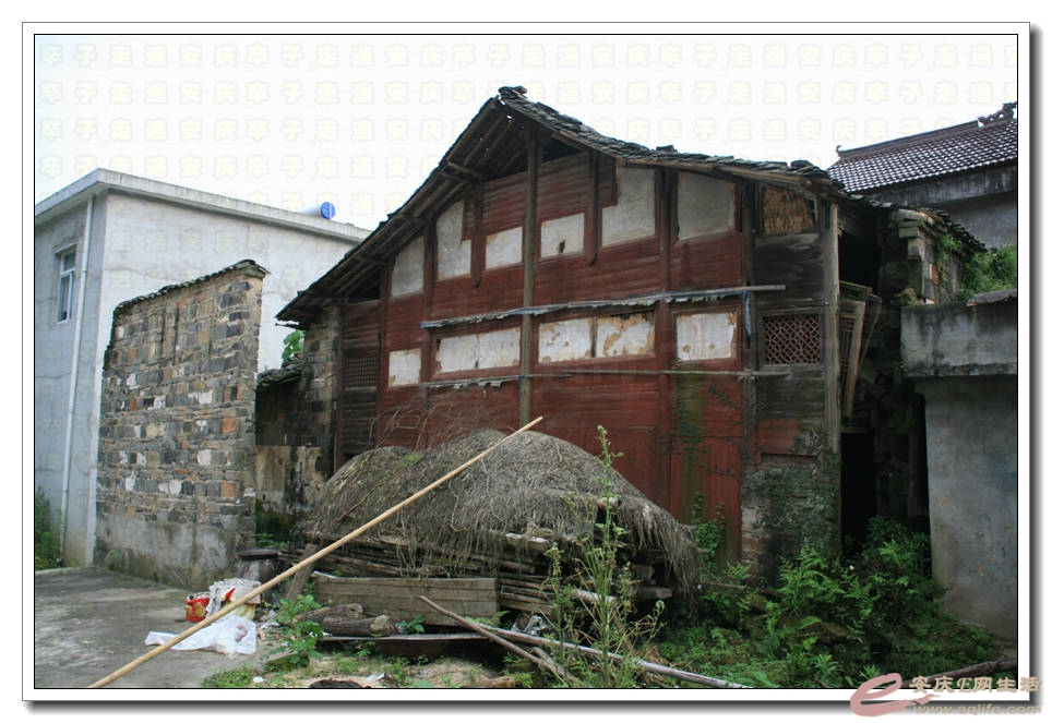 20150620 341.jpg