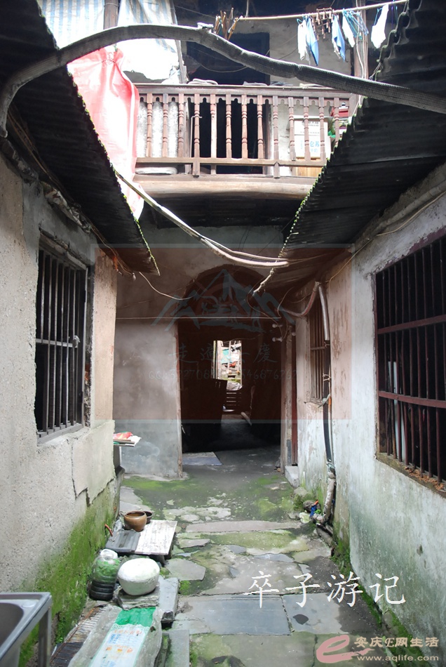 03.jpg