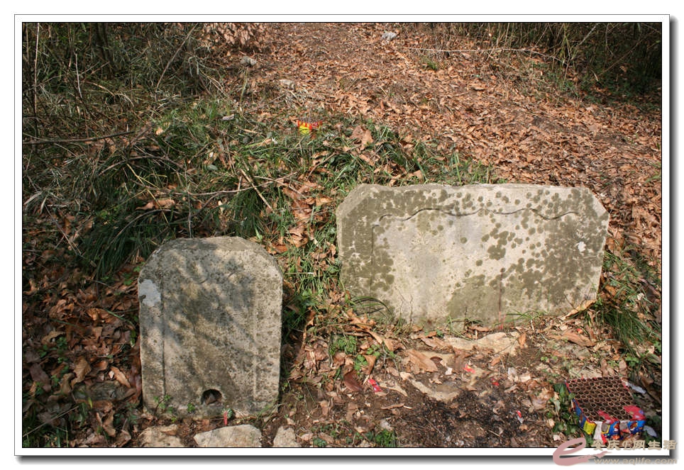 20150222 227.jpg