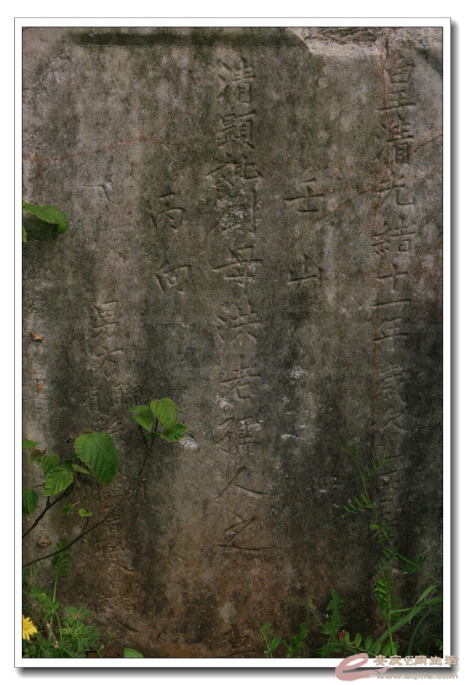 20150411 005.jpg