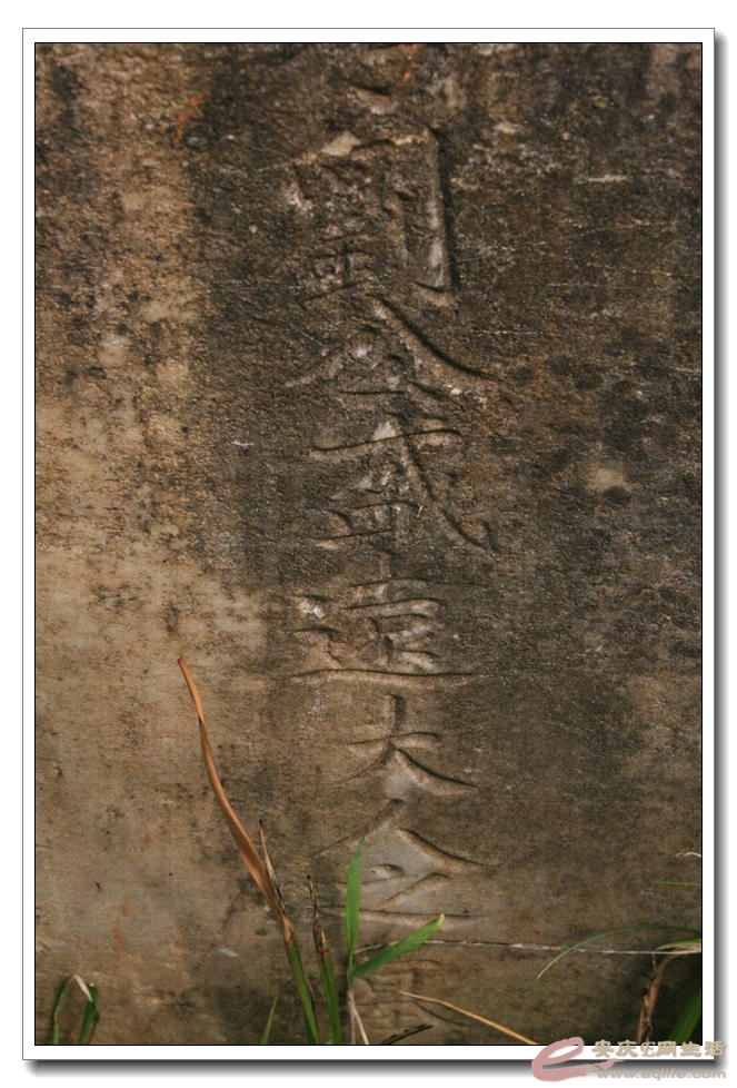 20150411 021.jpg