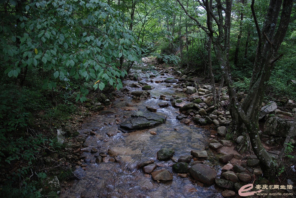 DSC_4120.jpg