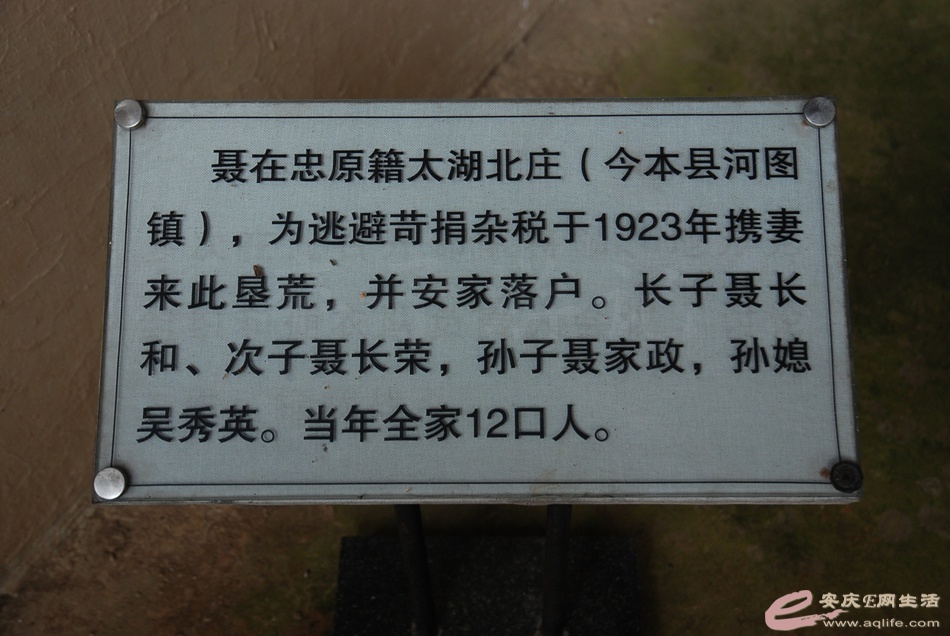 DSC_4172.jpg