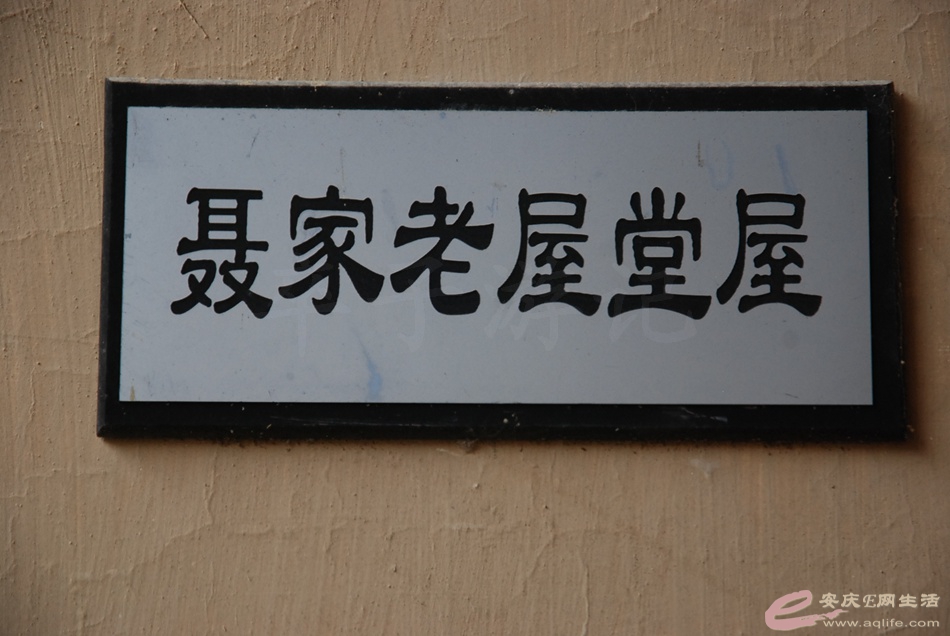 DSC_4175.jpg