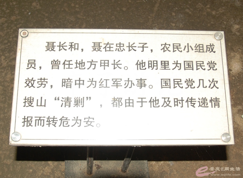 DSC_4201.jpg