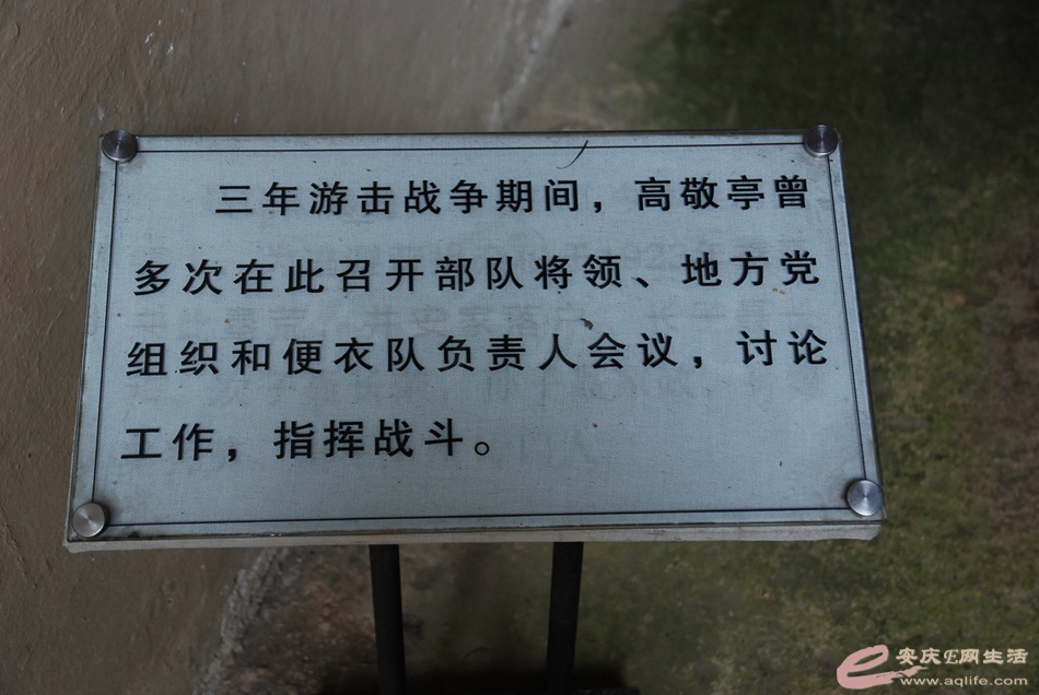 DSC_4216.jpg
