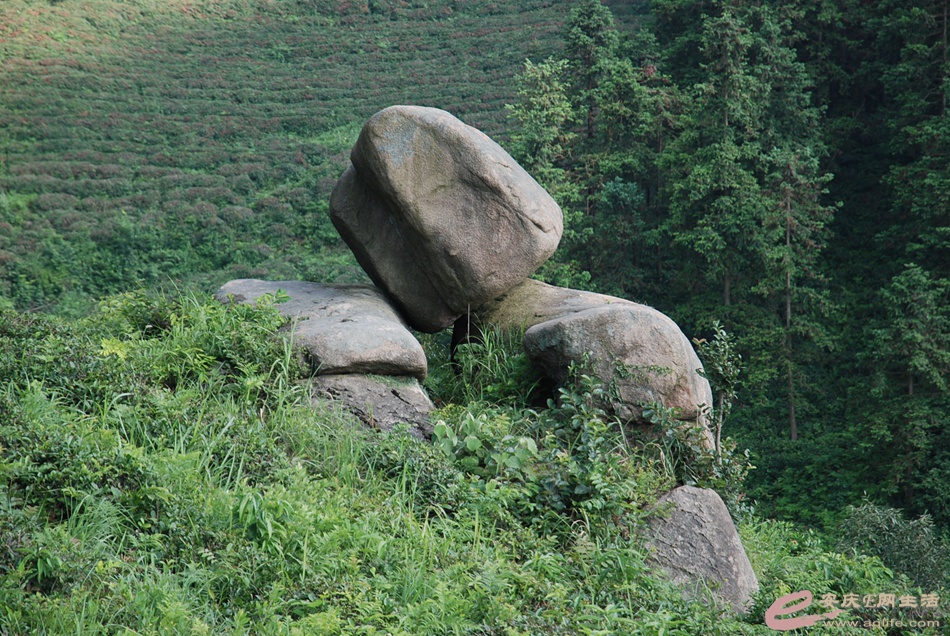 DSC_4819.jpg