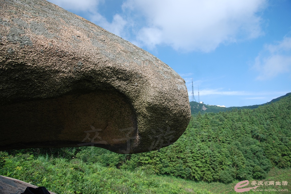 DSC_4834.jpg