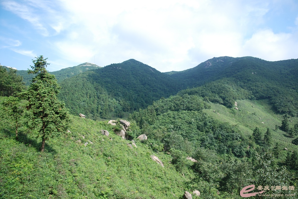 DSC_4852.jpg