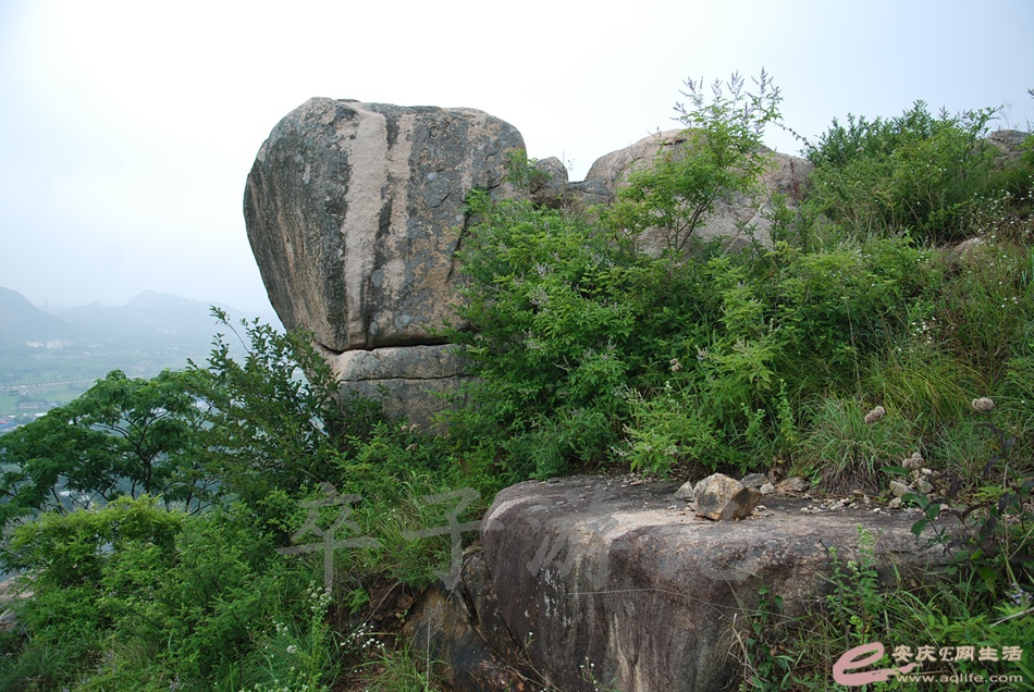 DSC_4930.jpg