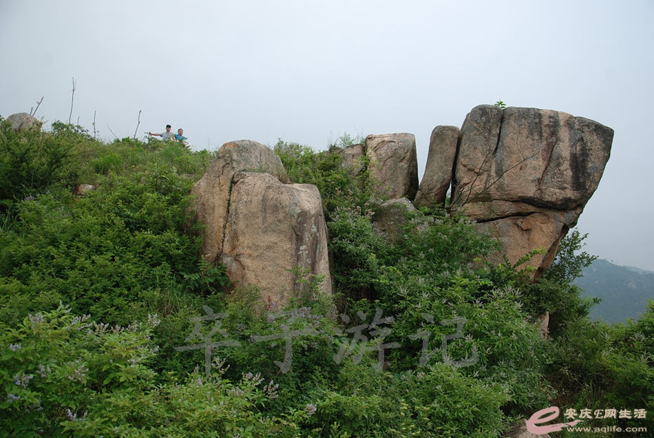 DSC_4937.jpg