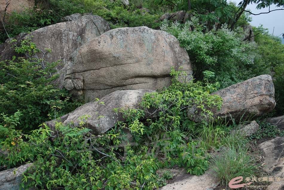 DSC_4943.jpg