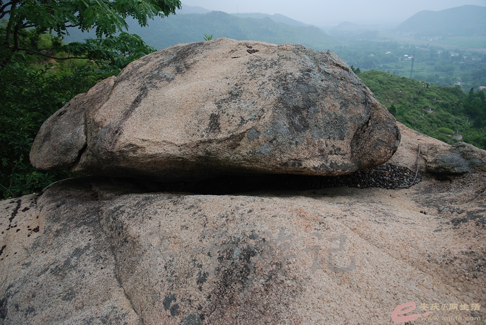 DSC_4945.jpg