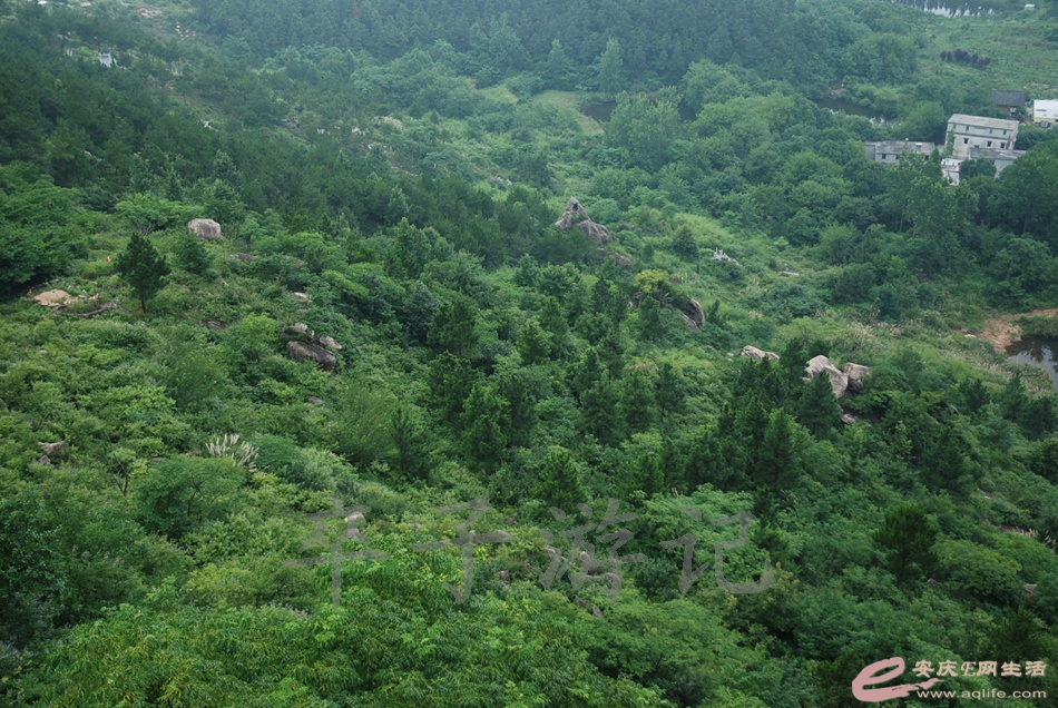 DSC_4946.jpg