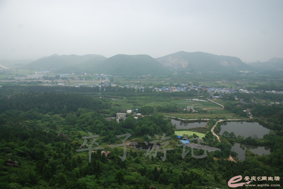 DSC_4947.jpg
