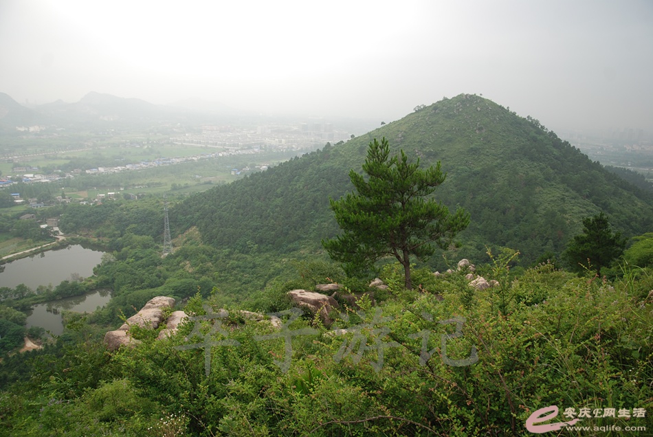 DSC_4978.jpg