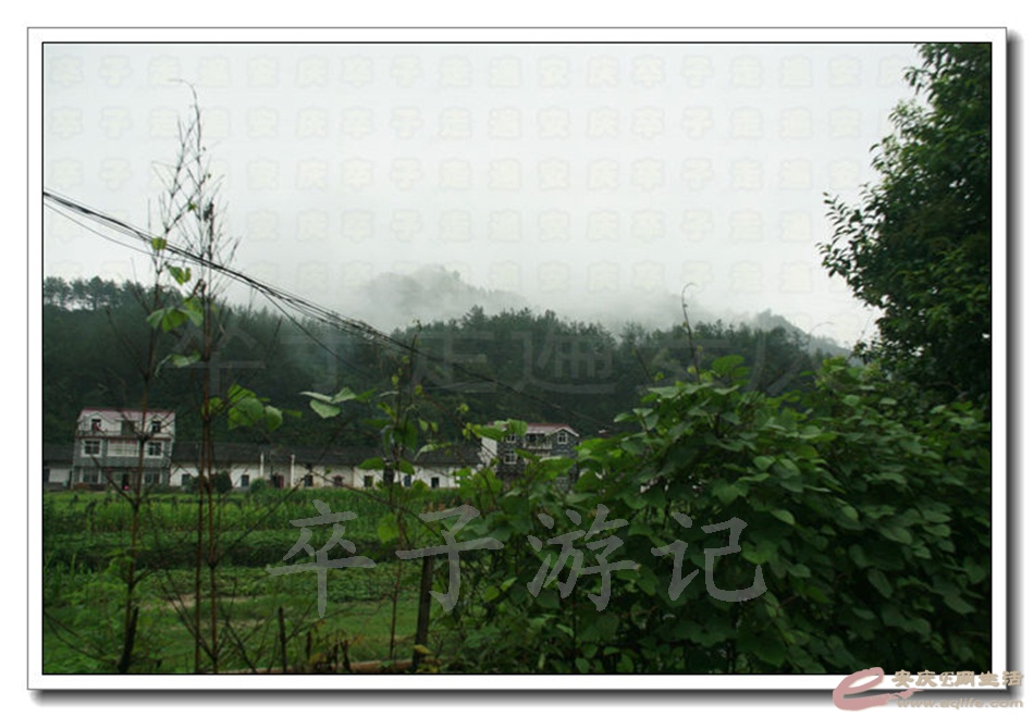 20140812 200.jpg