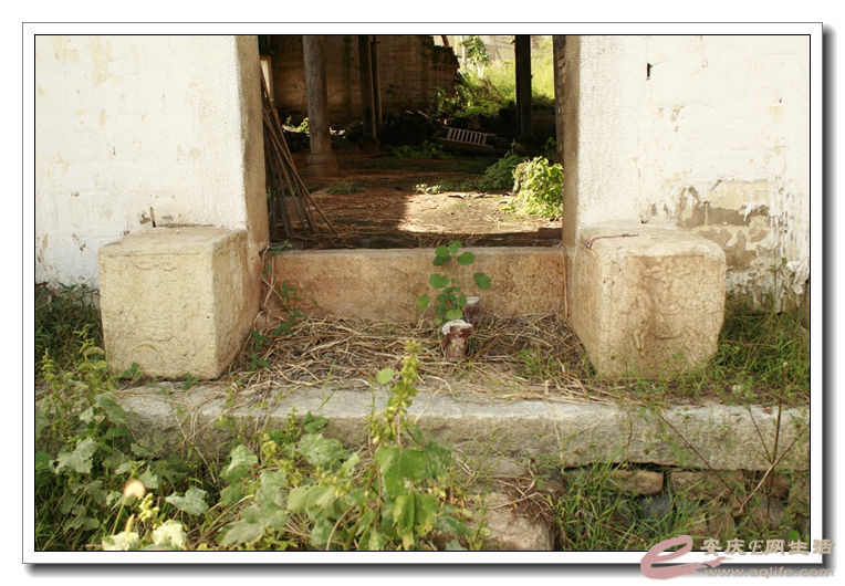 2014100106 303.jpg