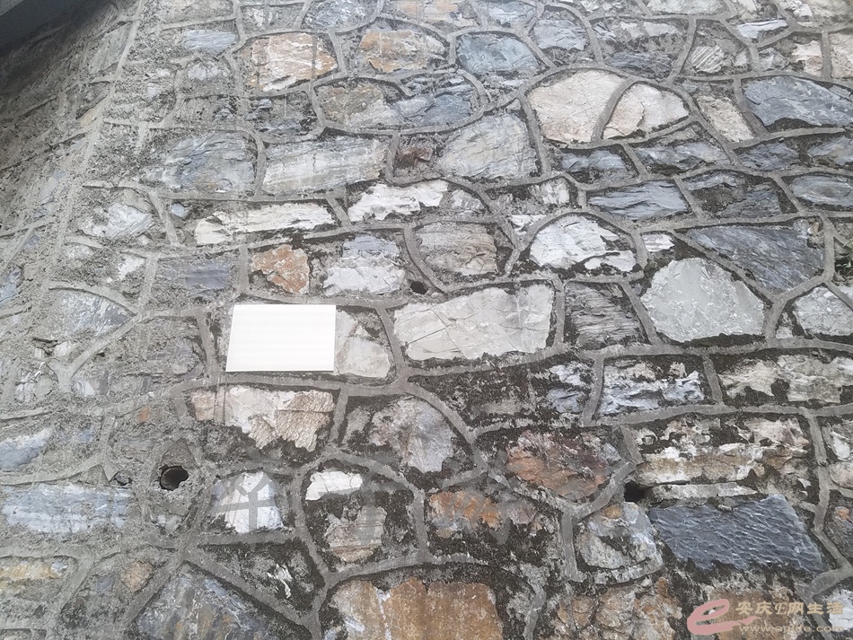 20180626_181611.jpg