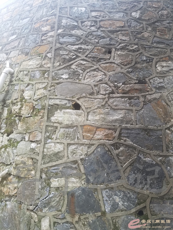 20180626_181628.jpg