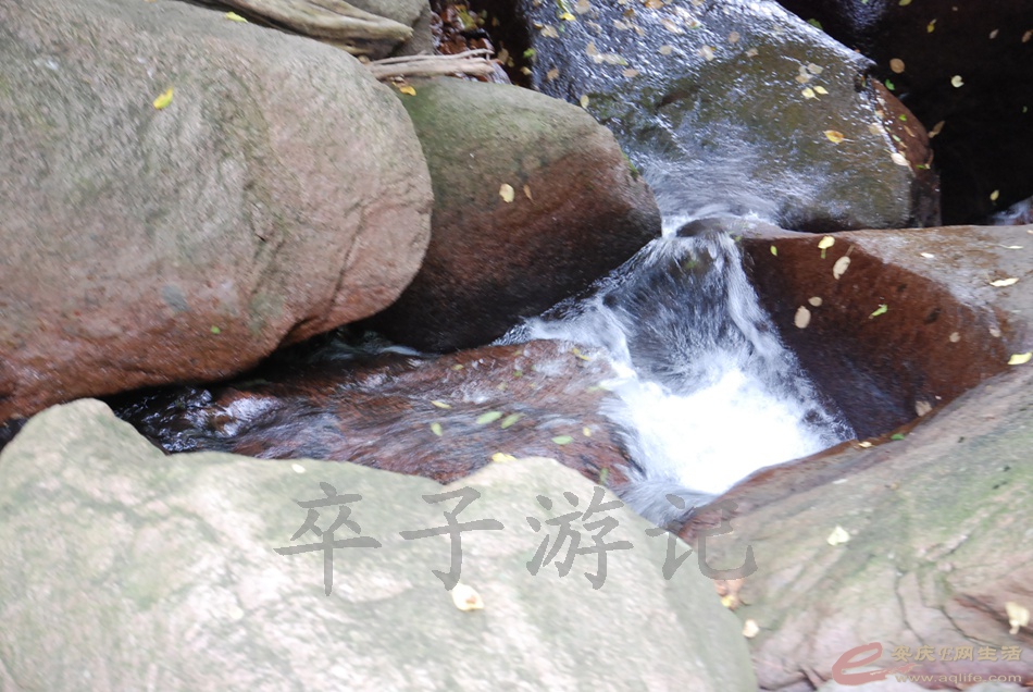 DSC_4973.jpg