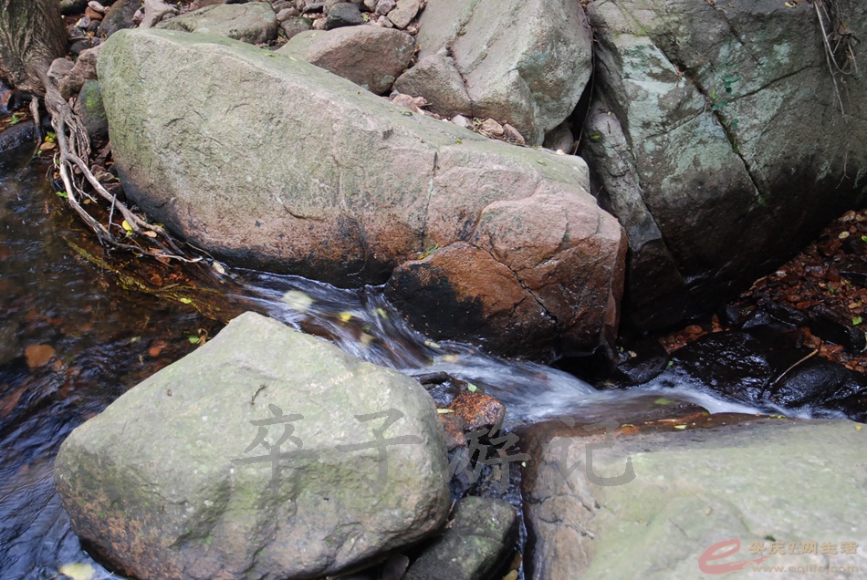 DSC_4975.jpg