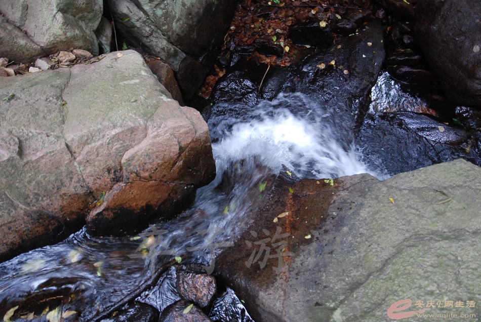 DSC_4976.jpg