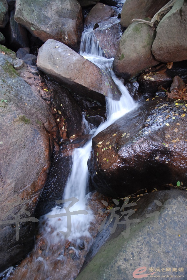 DSC_4980.jpg