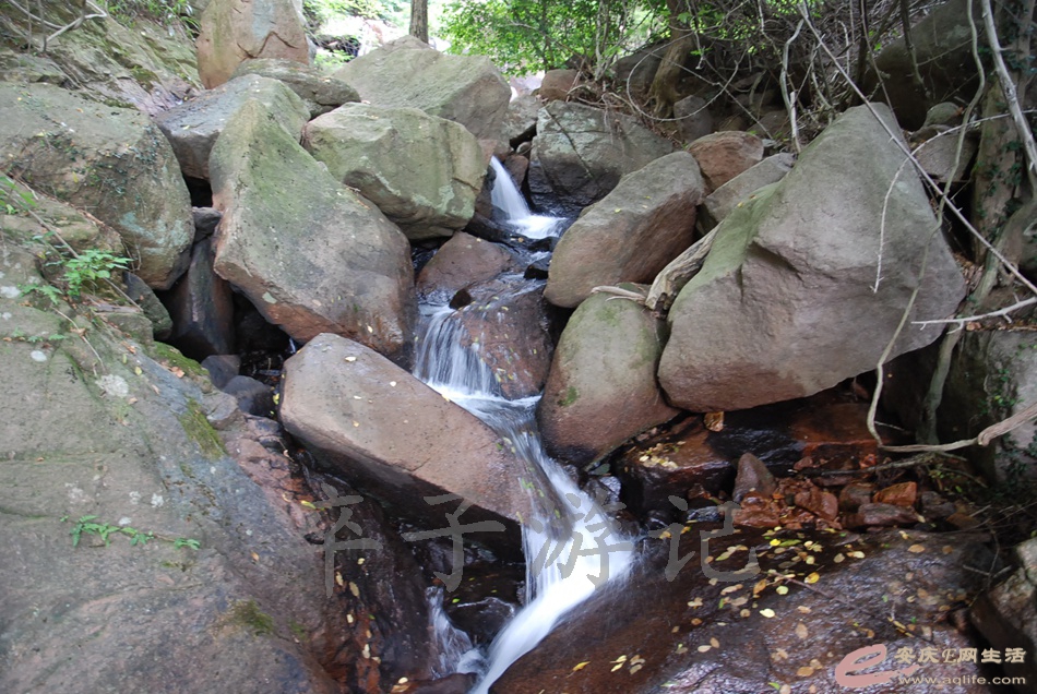 DSC_4982.jpg