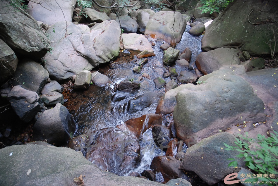 DSC_4984.jpg