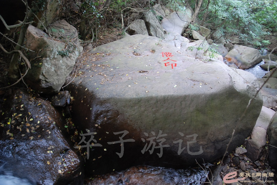 DSC_4993.jpg