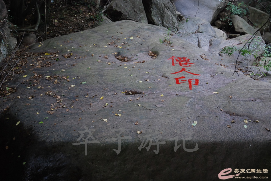 DSC_4995.jpg