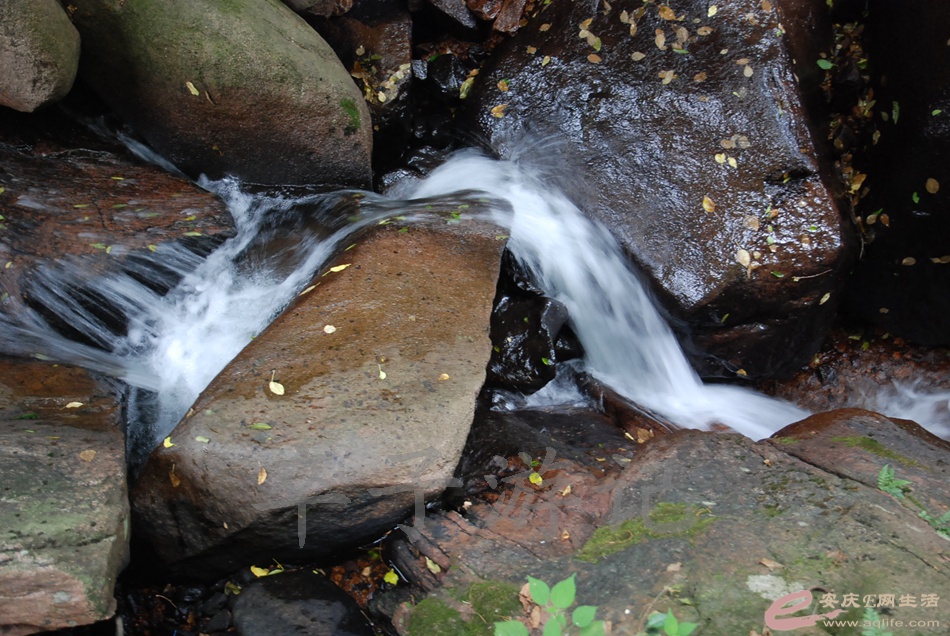 DSC_4996.jpg