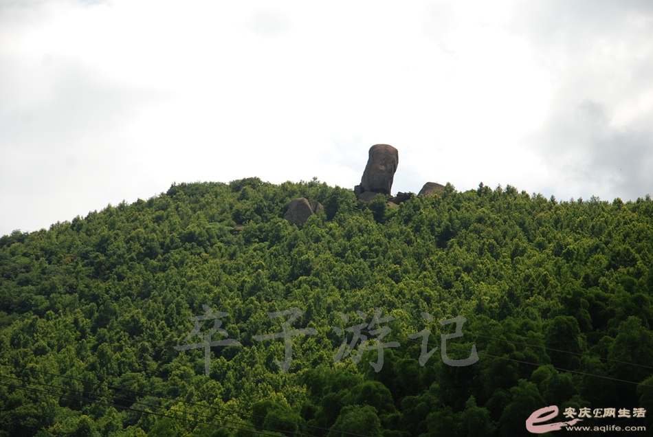 DSC_5048.jpg