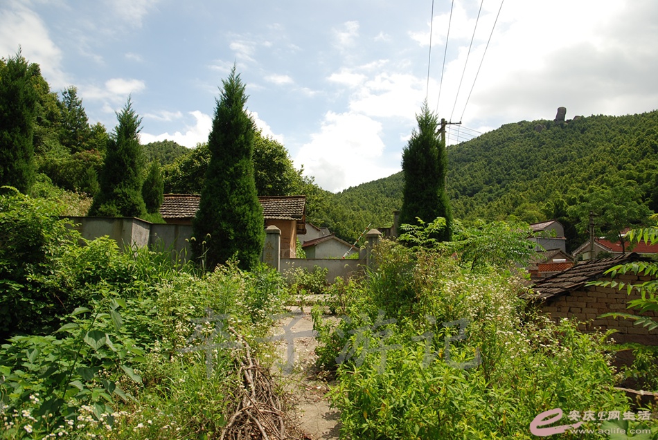 DSC_5054.jpg
