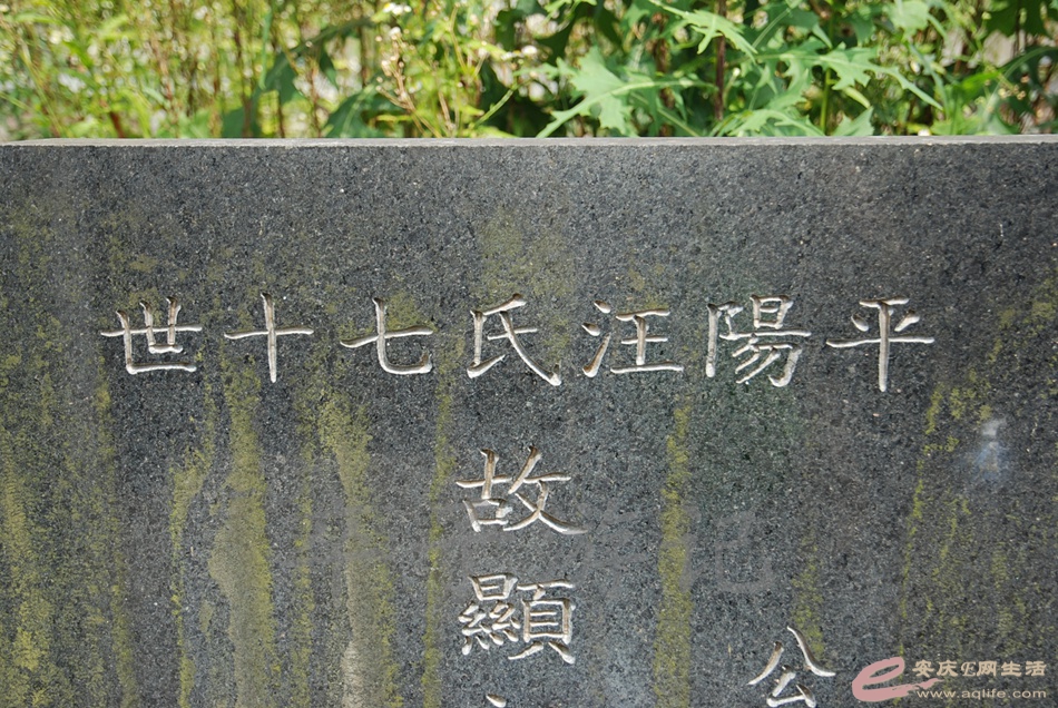 DSC_5059.jpg