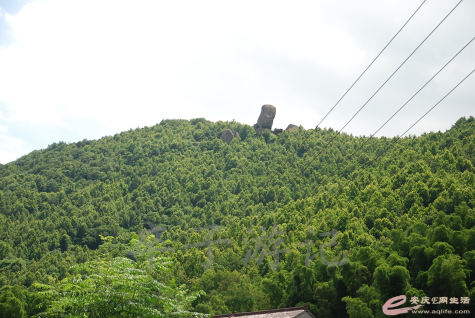 DSC_5064.jpg