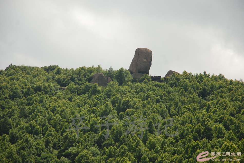 DSC_5071.jpg