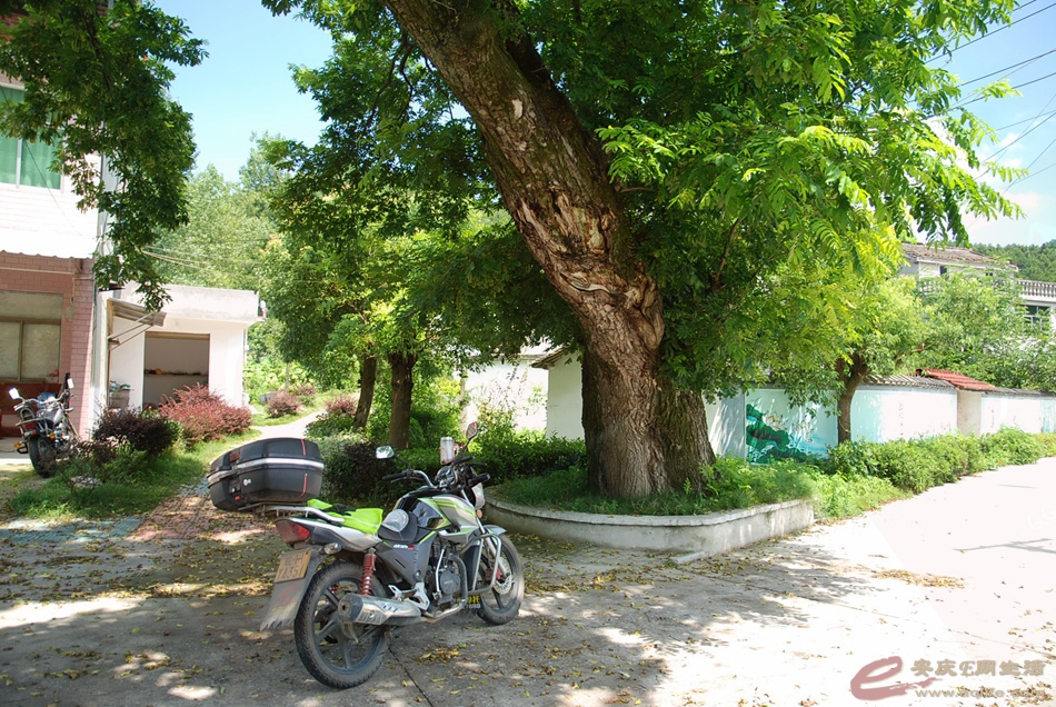 04.jpg