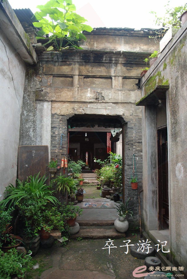 05.jpg
