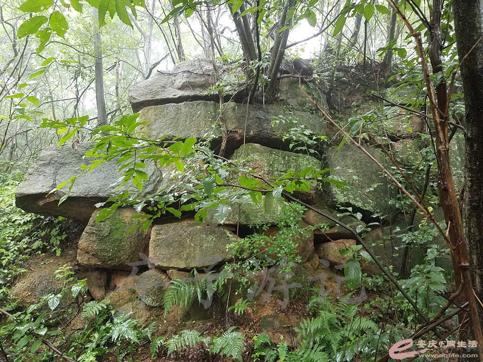20180707_132739.jpg