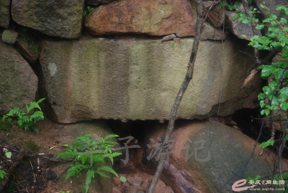 DSC_5348.jpg