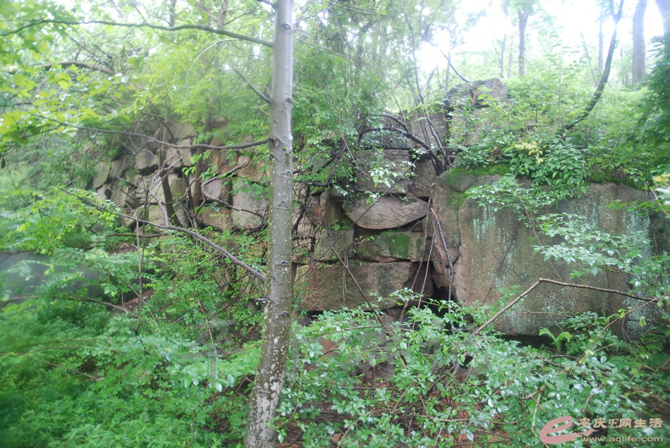DSC_5352.jpg