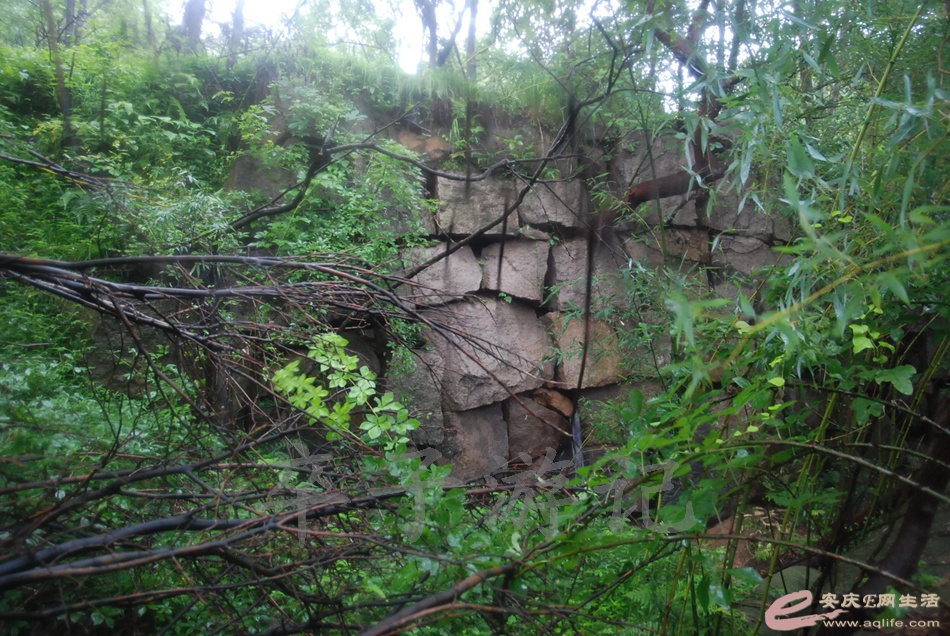 DSC_5355.jpg