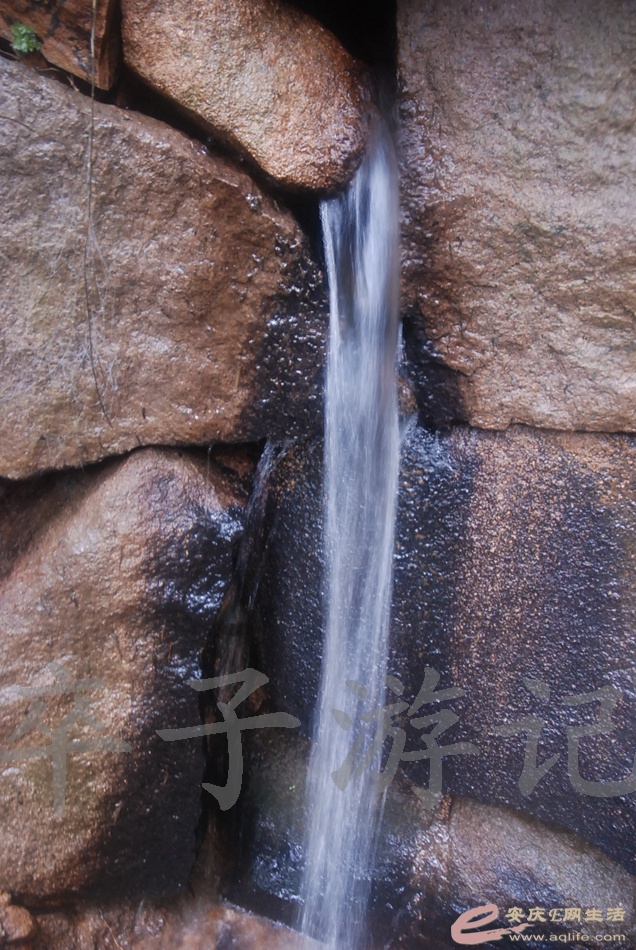 DSC_5370.jpg