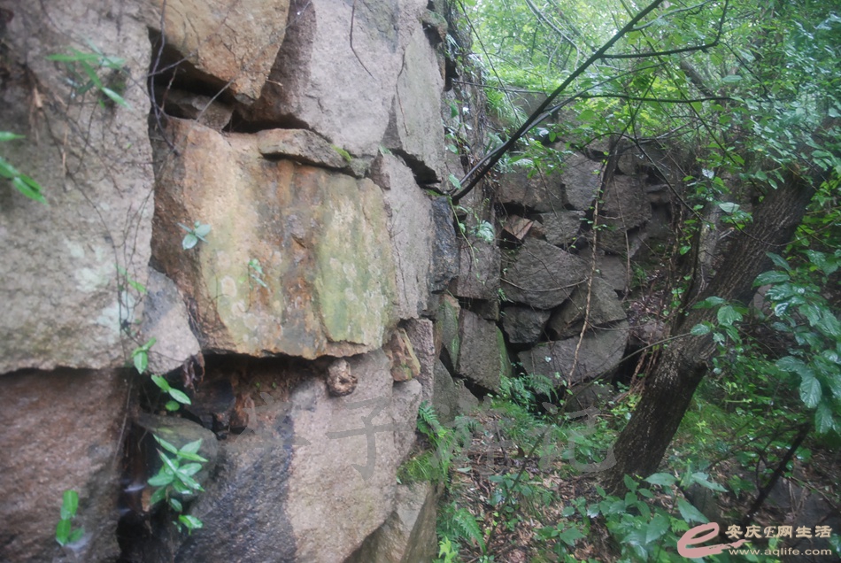 DSC_5371.jpg