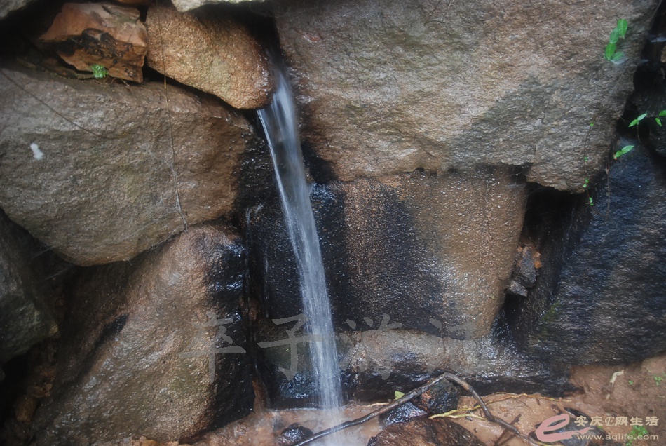 DSC_5373.jpg